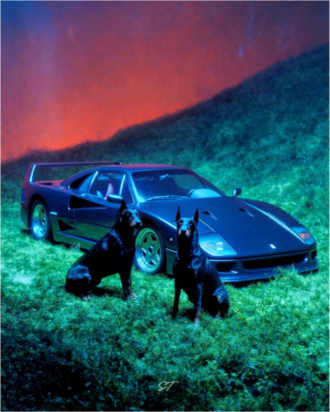 Main image For My Dogs On Acrylic Glass