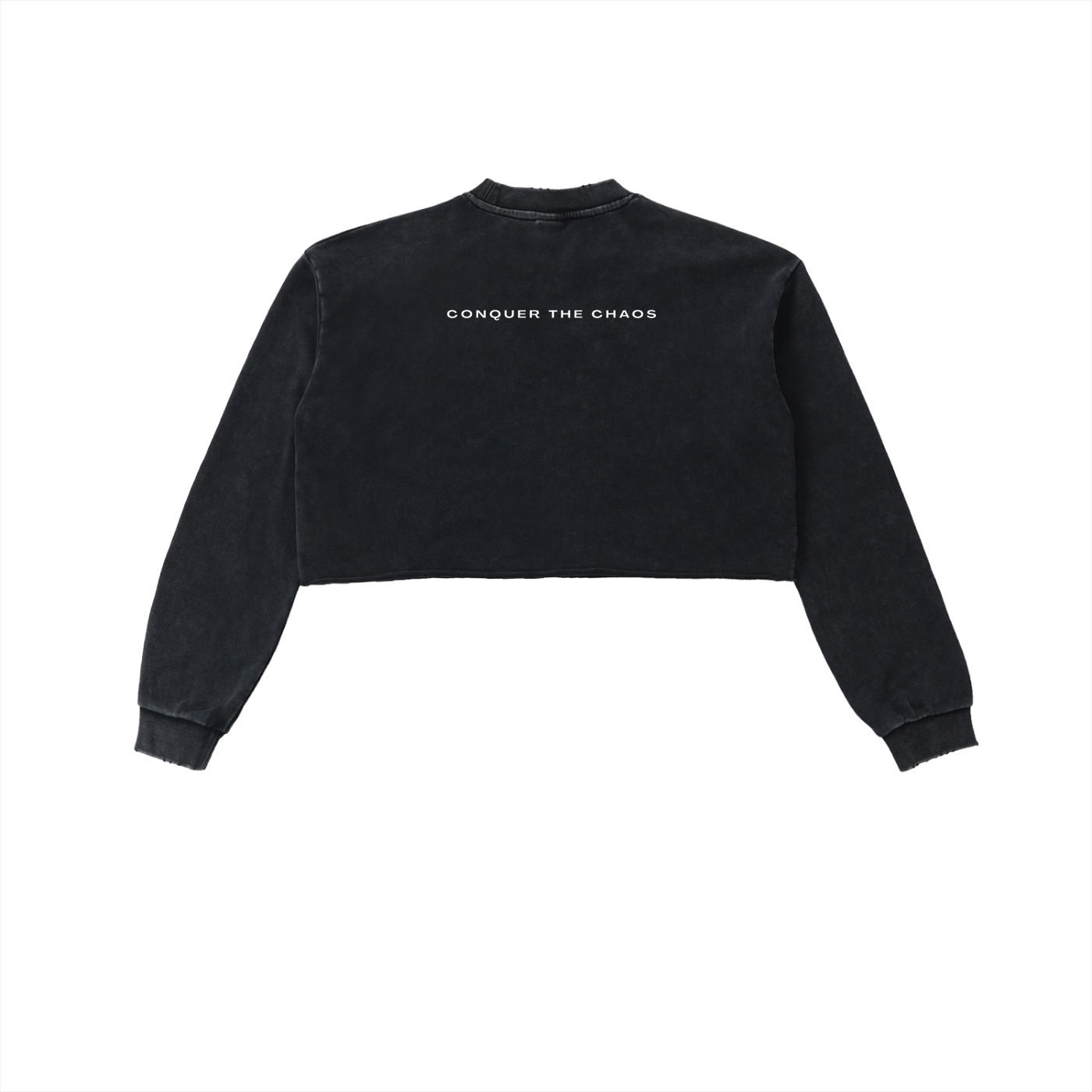 Snow Washed Dystopia Savage Cropped Sweatshirt